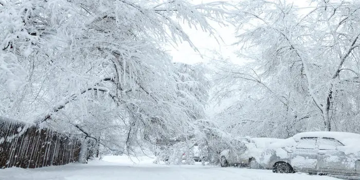 Heavy winter snow and ice in Toronto showing conditions that commonly lead to roof leaks, roof repair needs, roof replacement, and slate roofing damage during cold weather.