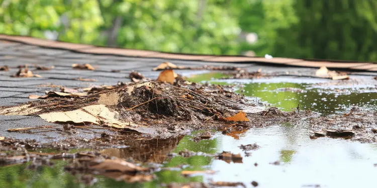 Ponding water and debris buildup on a flat roof in Toronto
