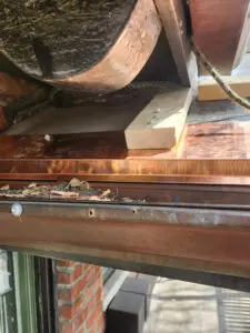 Custom fabricated copper wildlife barrier enclosure installation in Toronto by Right Choice Roofing and Repair.