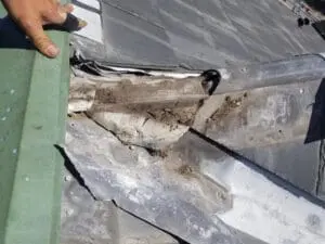 Progress photo showing hand pulling back demolished lead ridge cap revealing roof leak damage and debris underneath on slate roof in Harbord Village Toronto by Right Choice Roofing and Repair