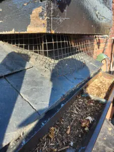 Damaged soffit bulkhead on a Toronto home showing squirrel infestation entry point and wildlife damage before repair by Right Choice Roofing and Repair.