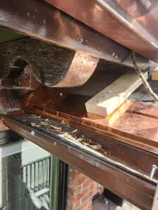 Custom metal copper work and wildlife infestation removal on a historic Toronto home by Right Choice Roofing and Repair.
