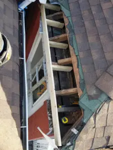 Accurate roof structure repair in progress after wildlife damage in Bloor West Village, Toronto by Right Choice Roofing and Repair