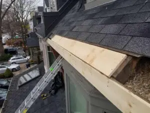 Wide view of new Fascia board on roofline during wildlife removal repair Summerhill Toronto &mdash; Right Choice Roofing and Repair