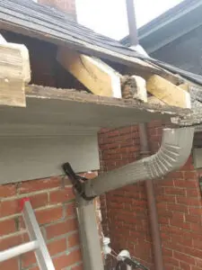 Structural repair to Fascia and rafter tails after squirrel damage Summerhill Toronto &mdash; Right Choice Roofing and Repair