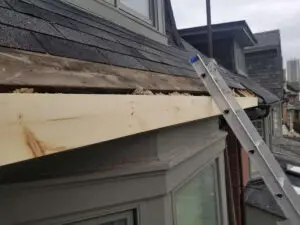New Fascia board installed along full roofline during rafter carpentry repair Summerhill Toronto &mdash; Right Choice Roofing and Repair