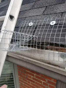 Custom fabricated one-way door installed for squirrel removal Summerhill Toronto &mdash; Right Choice Roofing and Repair
