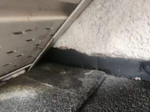 Squirrel gnaw damage on a roof Soffit panel in Toronto