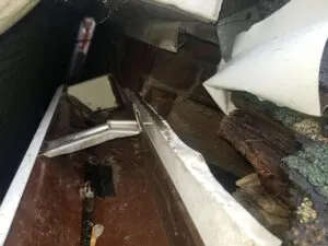 Severe wildlife damage to roof deck and Flashing before repair in St. Clair West Village, Toronto by Right Choice Roofing and Repair