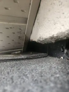 Squirrel penetration at a Soffit exterior corner in Toronto