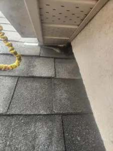 Squirrel entry point through a Soffit exterior penetration before repair in Toronto