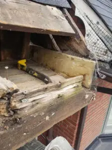 Removing squirrel-damaged Fascia and rafter tail ends before repair Summerhill Toronto &mdash; Right Choice Roofing and Repair