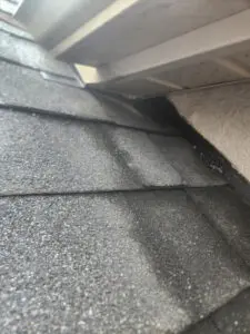 Wildlife entry point at a roof Soffit penetration in Toronto