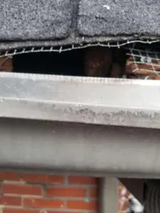 Squirrel infestation damage to Fascia and Soffit on Summerhill Toronto roof &mdash; Right Choice Roofing and Repair