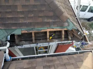 Wildlife roof damage exposing decking and eavestrough in Bloor West Village, Toronto before repair by Right Choice Roofing and Repair